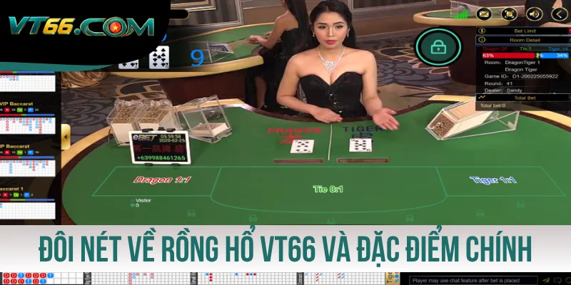 Đôi nét về Rồng Hổ VT66 và đặc điểm chính